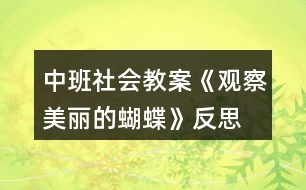 中班社會(huì)教案《觀察美麗的蝴蝶》反思