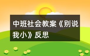 中班社會教案《別說我小》反思