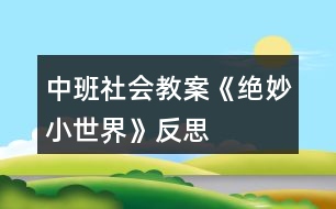 中班社會教案《絕妙小世界》反思