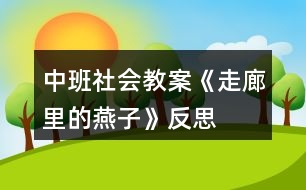 中班社會(huì)教案《走廊里的燕子》反思