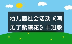 幼兒園社會活動《再見了紫藤花》中班教案反思