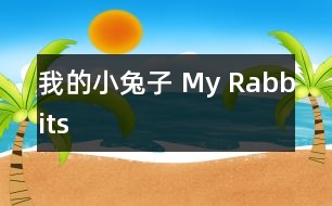 我的小兔子 My Rabbits