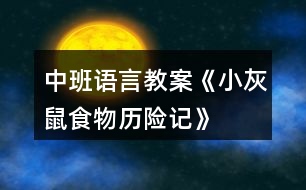 中班語言教案《小灰鼠食物歷險記》