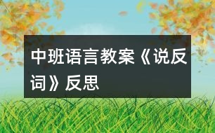 中班語言教案《說反詞》反思