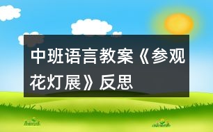 中班語(yǔ)言教案《參觀花燈展》反思