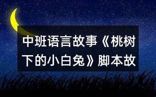 中班語言故事《桃樹下的小白兔》腳本故事反思