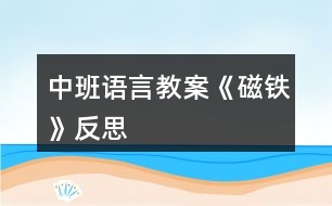 中班語(yǔ)言教案《磁鐵》反思