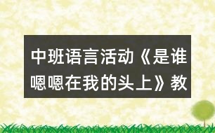 中班語言活動《是誰嗯嗯在我的頭上》教學設(shè)計反思