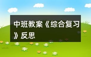 中班教案《綜合復習》反思