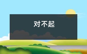 對(duì)不起