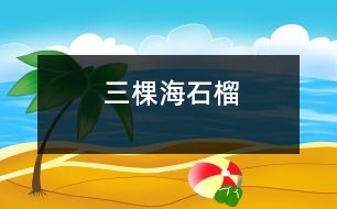 三棵海石榴