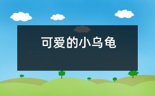 可愛的小烏龜