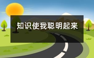 知識(shí)使我聰明起來