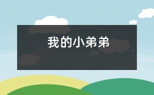 我的小弟弟