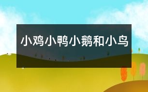 小雞、小鴨、小鵝和小鳥