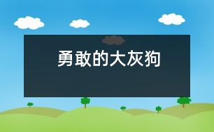 勇敢的大灰狗