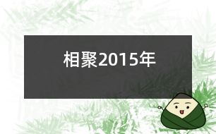 相聚2015年