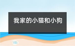 我家的小貓和小狗