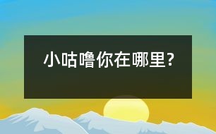 小咕嚕,你在哪里?