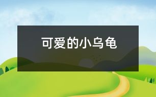 可愛(ài)的小烏龜