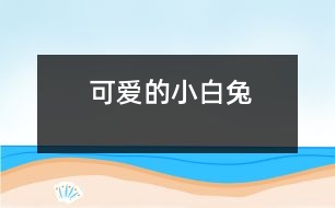 可愛的小白兔