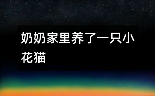 奶奶家里養(yǎng)了一只小花貓