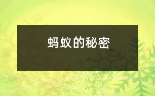 螞蟻的秘密