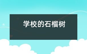 學校的石榴樹