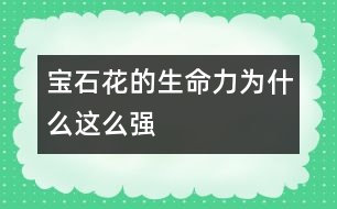 寶石花的生命力為什么這么強(qiáng)