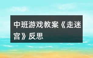 中班游戲教案《走迷宮》反思