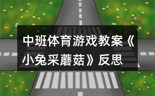 中班體育游戲教案《小兔采蘑菇》反思