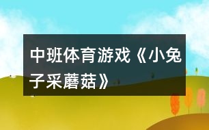 中班體育游戲《小兔子采蘑菇》