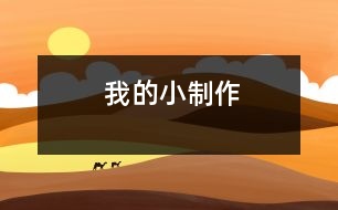 我的小制作