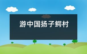 游中國揚子鱷村