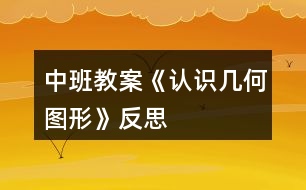 中班教案《認(rèn)識(shí)幾何圖形》反思