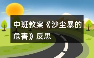 中班教案《沙塵暴的危害》反思