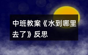 中班教案《水到哪里去了》反思