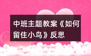 中班主題教案《如何留住小鳥(niǎo)》反思