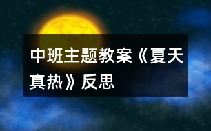 中班主題教案《夏天真熱》反思