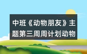 中班《動物朋友》主題第三周周計劃動物秘密多