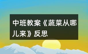 中班教案《蔬菜從哪兒來》反思