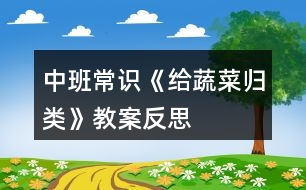 中班常識《給蔬菜歸類》教案反思