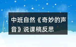 中班自然《奇妙的聲音》說(shuō)課稿反思