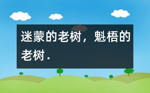 迷蒙的老樹，魁梧的老樹．