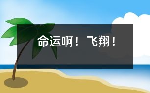 命運(yùn)?。★w翔！