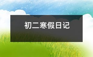 初二寒假日記