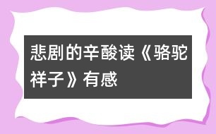 悲劇的辛酸——讀《駱駝祥子》有感