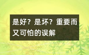 是好？是壞？——重要而又可怕的誤解