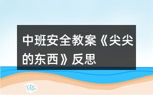 中班安全教案《尖尖的東西》反思