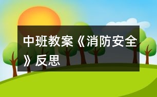 中班教案《消防安全》反思